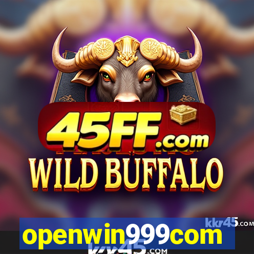 openwin999com