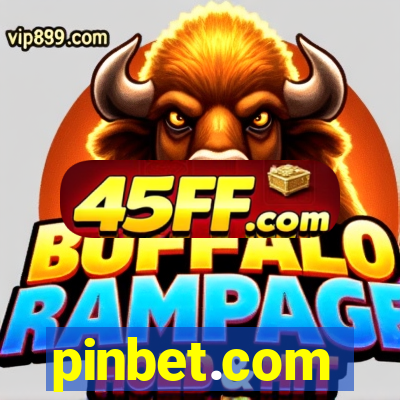 pinbet.com