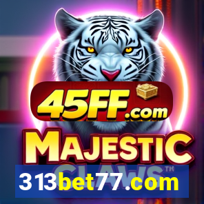 313bet77.com
