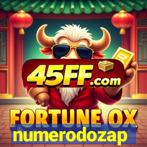numerodozap