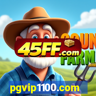 pgvip1100.com